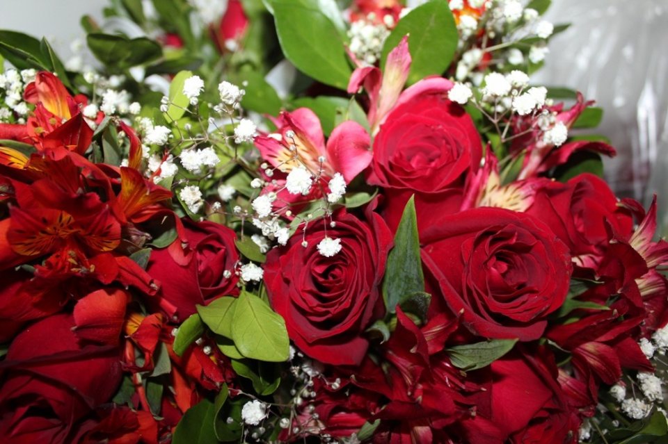 EMOÇÃO NO CASAMENTO COOPERADO EM MARAVILHA