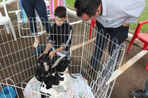 Ação Cooperada em Chapecó-SC