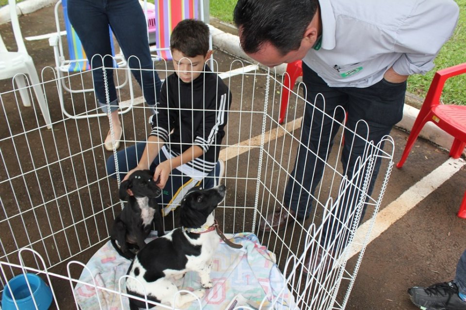Ação Cooperada em Chapecó-SC
