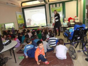 Sustentabilidade e Reciclagem no RS