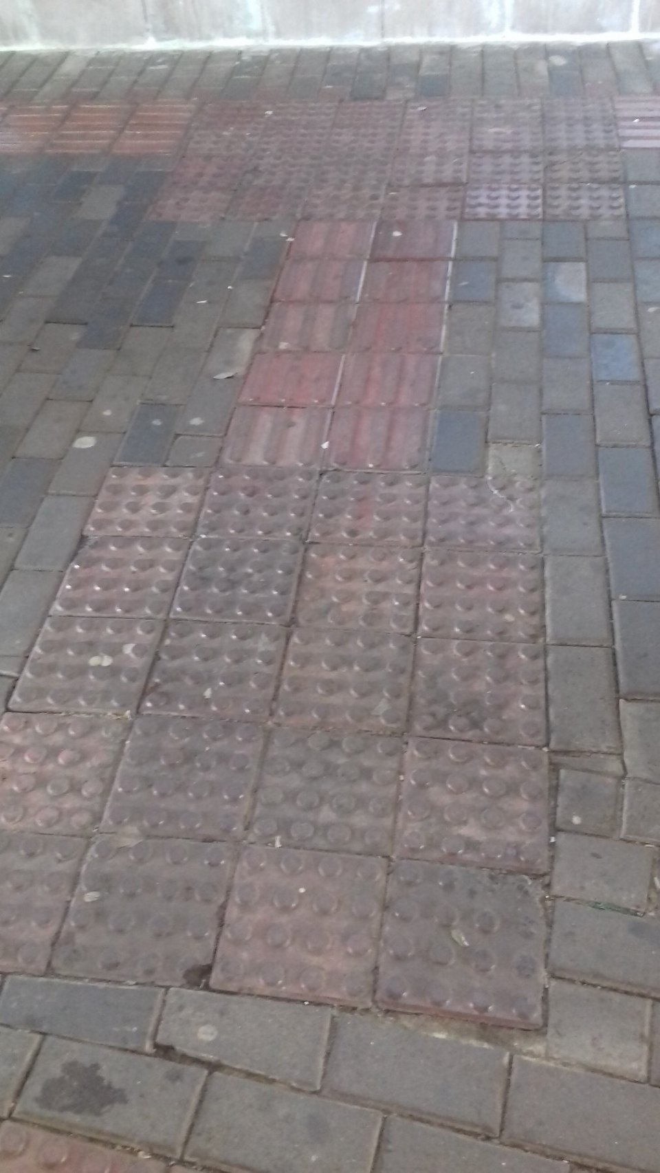 Atitude Agora, voluntários e COMDE fiscalizam terminal urbano