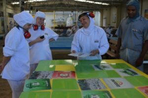 Empregados recebem momentos de descontração e conhecimento com A Turminha da Reciclagem