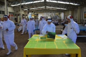 Empregados recebem momentos de descontração e conhecimento com A Turminha da Reciclagem