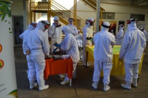 Empregados recebem momentos de descontração e conhecimento com A Turminha da Reciclagem