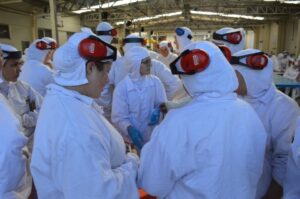 Empregados recebem momentos de descontração e conhecimento com A Turminha da Reciclagem