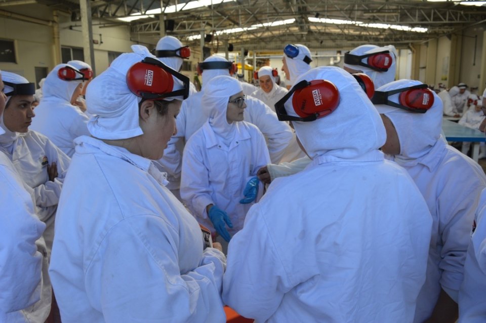 Empregados recebem momentos de descontração e conhecimento com A Turminha da Reciclagem