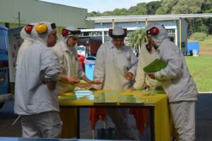 Empregados recebem momentos de descontração e conhecimento com A Turminha da Reciclagem