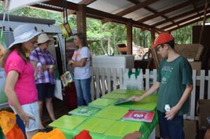 Literatura e educação ambiental