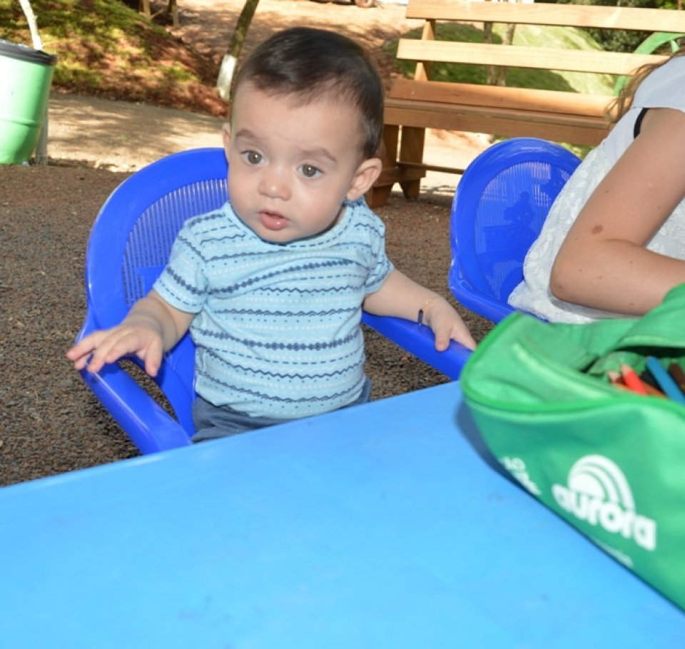 Literatura e educação ambiental