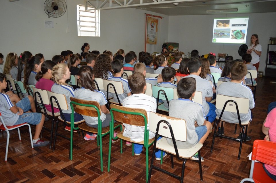 Ações do programa Eco Cooperação em Santa Catarina