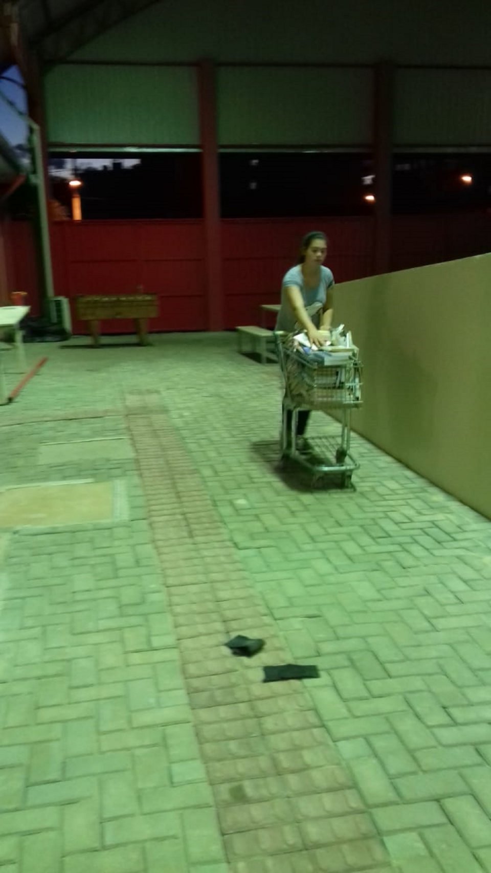 Voluntários auxiliam na organização da nova biblioteca de Escola em São Miguel do Oeste (SC)