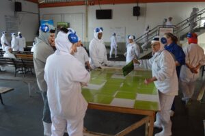 A Hora Mais Gostosa da Fundação