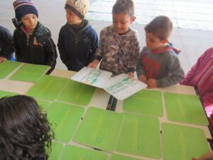 Programa Eco Cooperação incentiva a conservação e preservação do meio ambiente