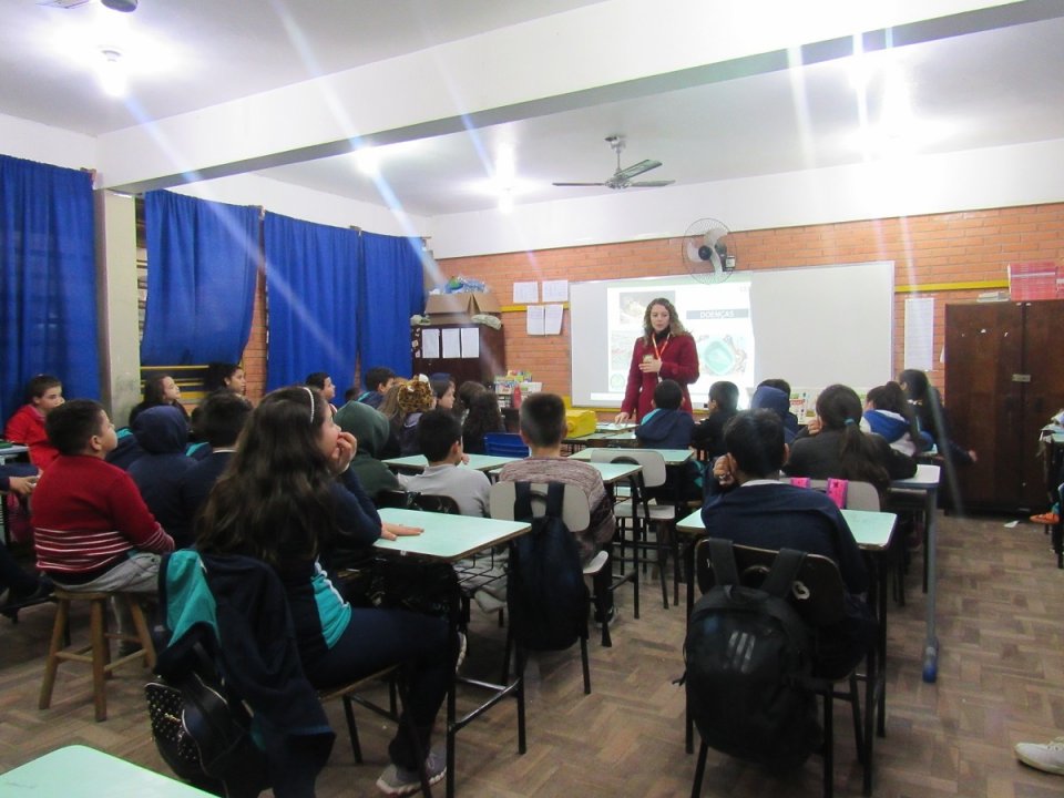 Programa Eco Cooperação incentiva a conservação e preservação do meio ambiente