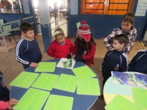 Cooperando com o meio ambiente