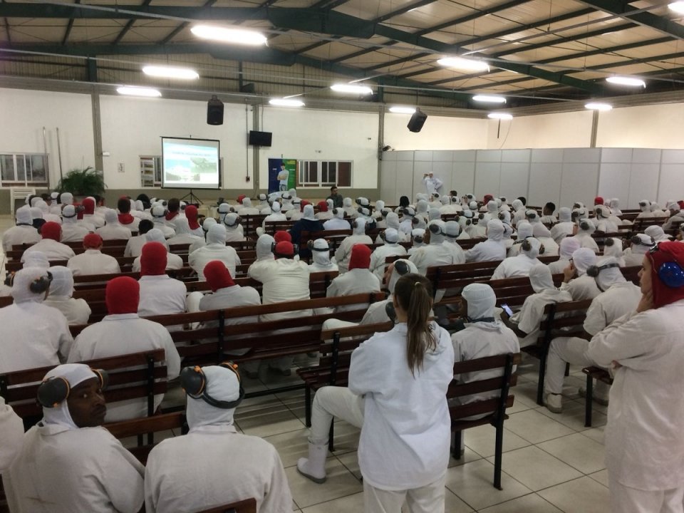 “Pés, para que os quero, se tenho asas para voar”?