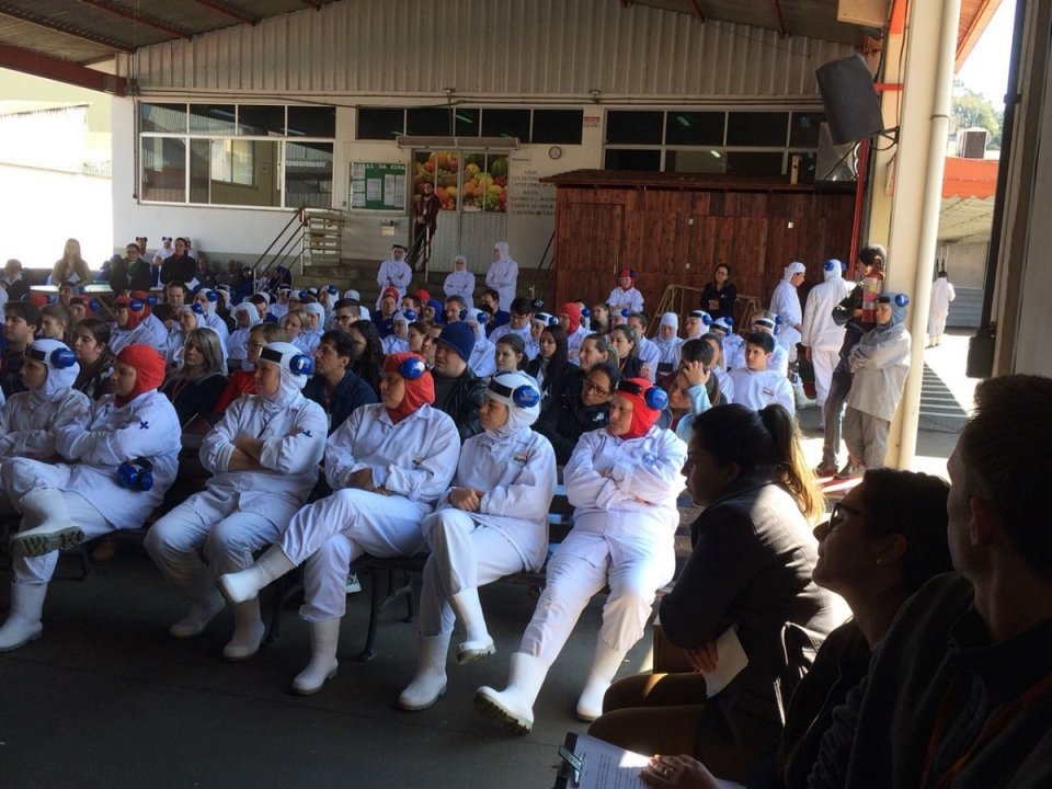 “Pés, para que os quero, se tenho asas para voar”?