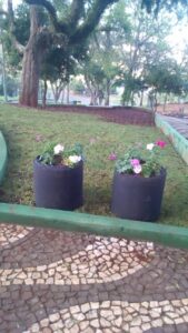 Praça Bernadete Roman de Chapecó (SC) ganha mais “vida” a cada dia