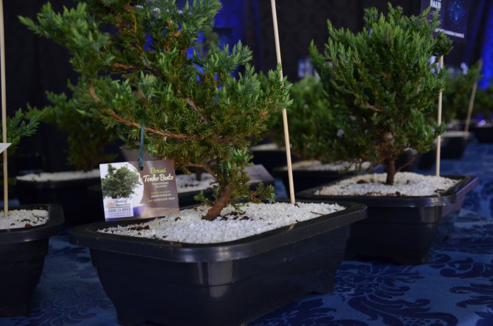 Conexão FALB 2019 reconhece ações promovidas por voluntários