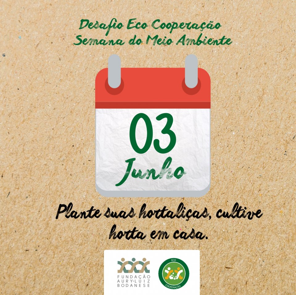 FALB lança desafio para a Semana do Meio Ambiente