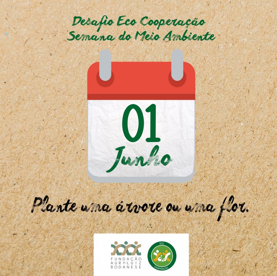 FALB lança desafio para a Semana do Meio Ambiente
