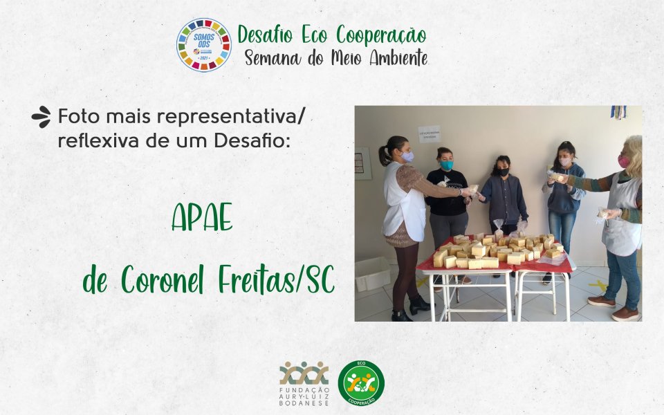 FALB revela os ganhadores do Desafio Eco Cooperação