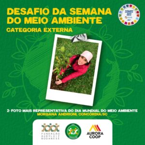 FALB divulga ganhadores do Desafio da Semana do Meio Ambiente