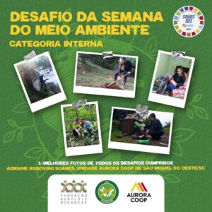 FALB divulga ganhadores do Desafio da Semana do Meio Ambiente