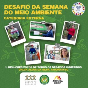 FALB divulga ganhadores do Desafio da Semana do Meio Ambiente