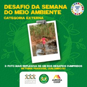 FALB divulga ganhadores do Desafio da Semana do Meio Ambiente